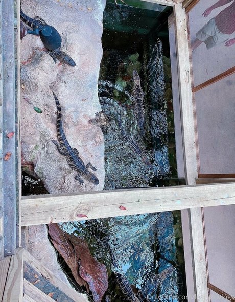 leanalovings model pornographic pictures