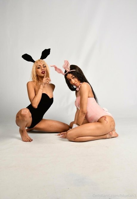 bluelah3 high quality star archive