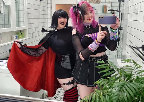 Will O perfect star archive