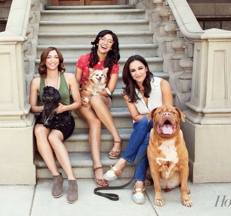 Melissa Fumero star hot image