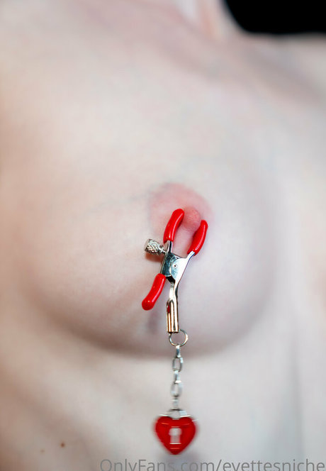 Evettes Niche best star picture