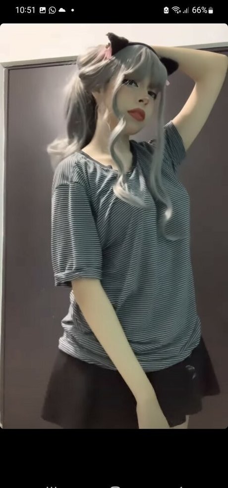 Didiwinx high quality model image