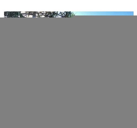 Shantel VanSanten pornstar nudes photos