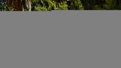 Shantel VanSanten adult star picture