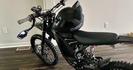 Curly Exotic top model photo