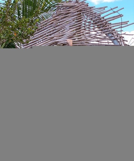 Thalita Nascimento star nudes photos