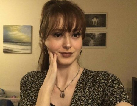 frogs25 star high quality galleries