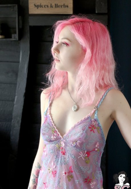 birdie best star archive