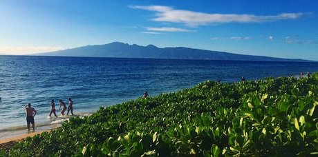 big black ass onlyfans pornographic pics