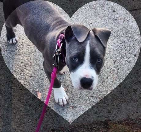 fitnessmodel onlyfans hot sexy image