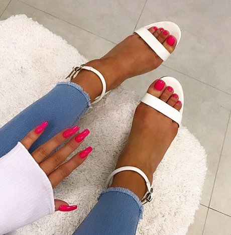 Pamela Borek star pictures