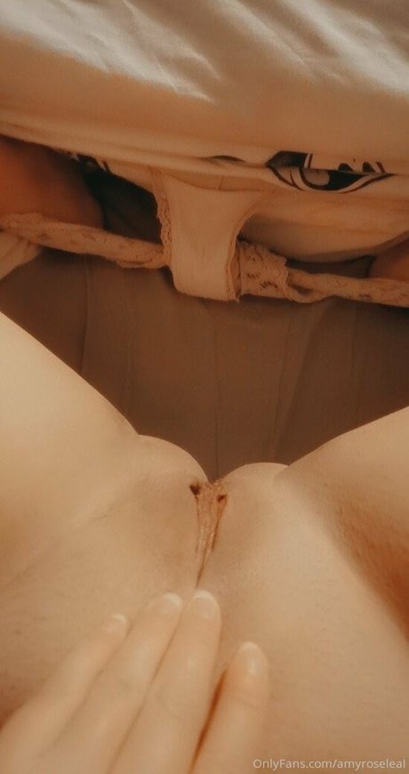 amyroseleal star beautiful galleries