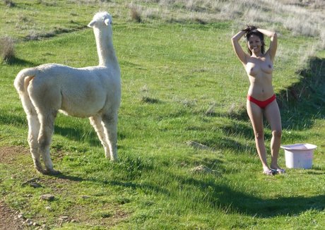 Ericharo art actress image