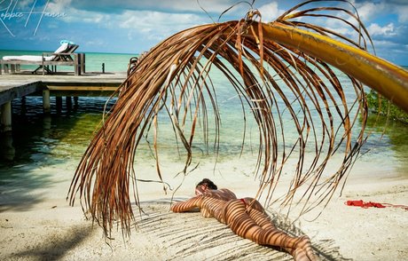 Robbie Welsh Hanna pornstar hot image