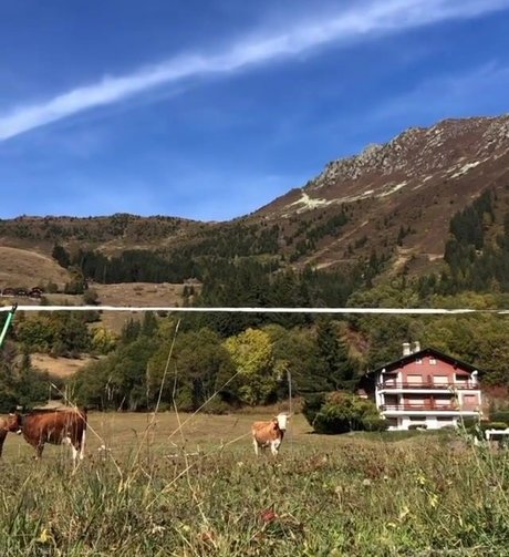 krippymami hot pornstar img