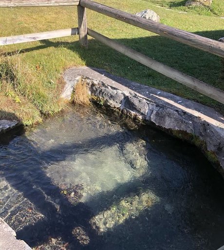 krippymami model adult pics