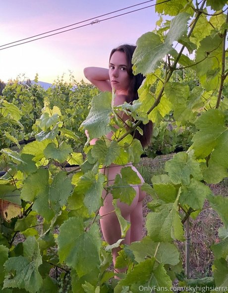 skyhighsierra free model img