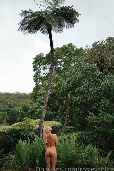 gym onlyfans art porn galleries