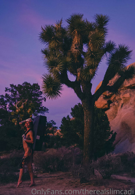 therealslimcadi pornstar images