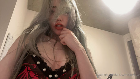 saekkico hd model gallery