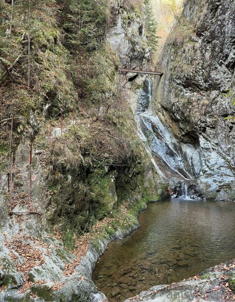 Anisyia_ model top pics