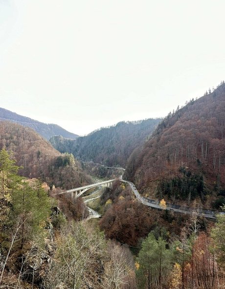 Anisyia_ sex pornstar images