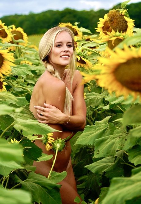 LaurenAnn nude pornstar gallery