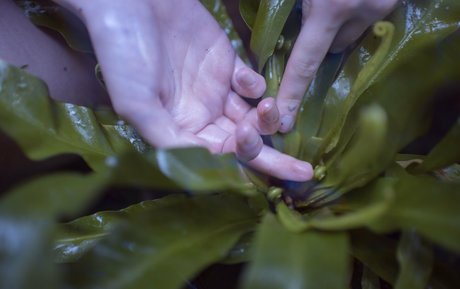 beautiful japanese onlyfans sex photos