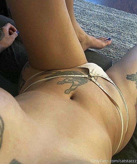 Cat Staccz hd model img