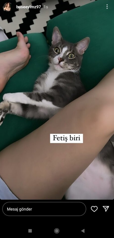 buseeylmz97 erotic model photos