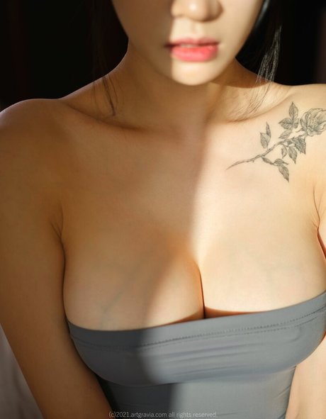 sa a 529 star best gallery