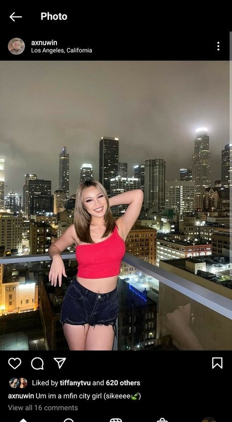 Axnuwin model top image