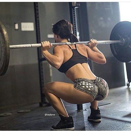 Taylor Vertucci pornstar art images