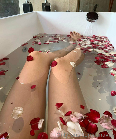 lanavee pornstar high quality galleries