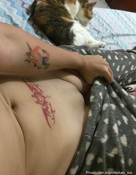 Katy xux pornstar nude img