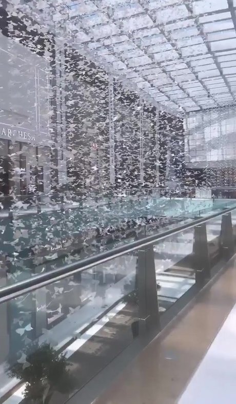 Tiona Fernan model perfect photo