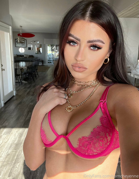 Sam Cheyenne perfect pornstar image