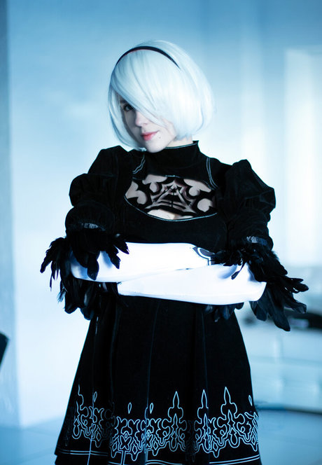 Takeomeow star free photos