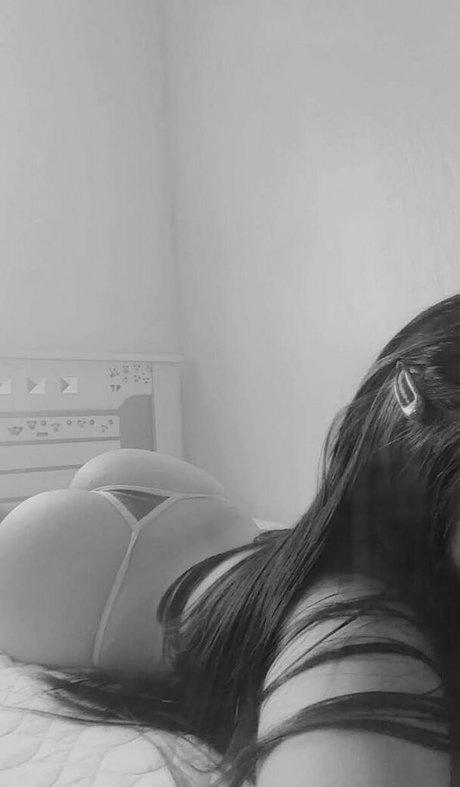 Yu cas model perfect galleries