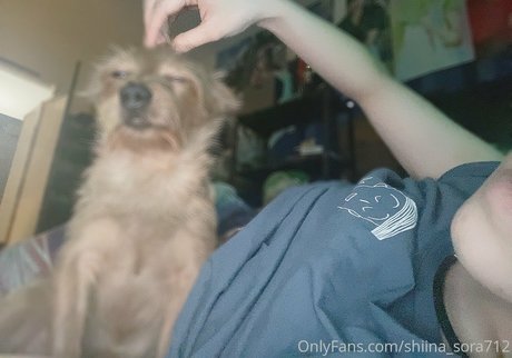 Sora Shiina star nude images