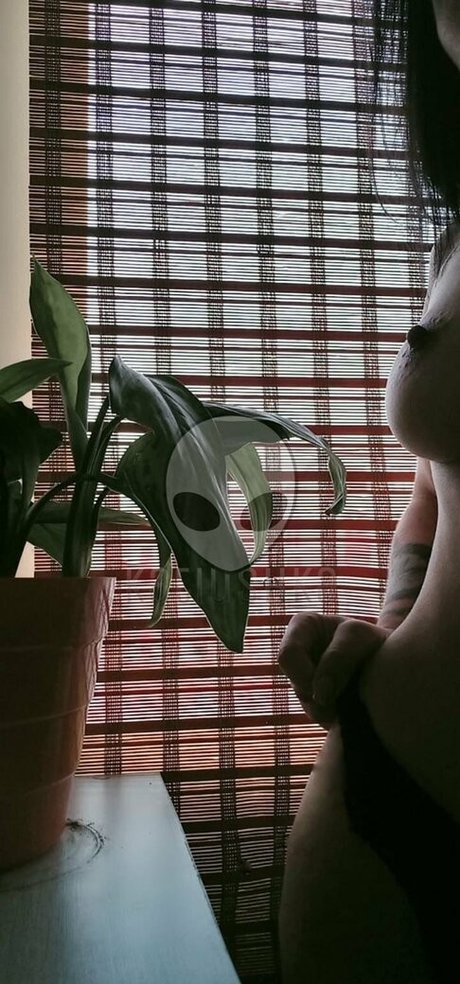 kthegray pornstar image