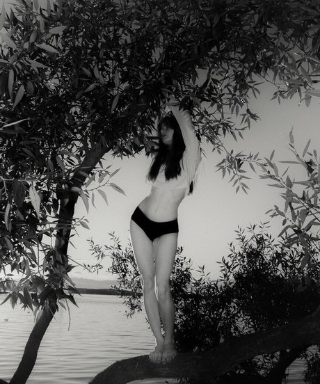 Tovpinets3 star pornographic image