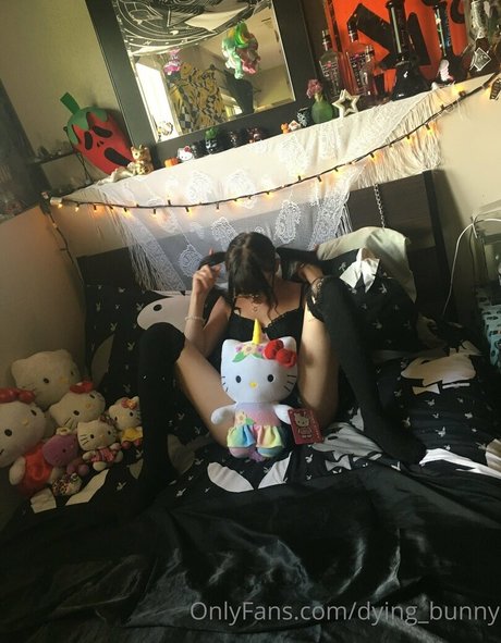 Dying bunny adult actress archive