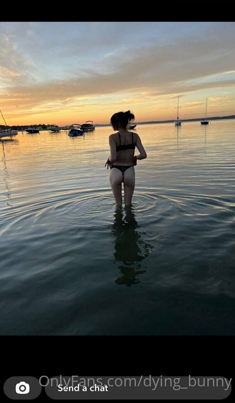 Dying bunny star pretty archive