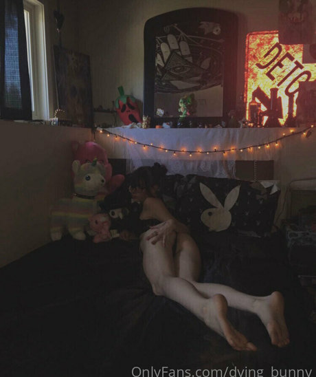 Dying bunny art model img