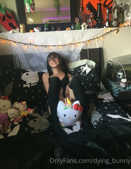 Dying bunny beautiful model image