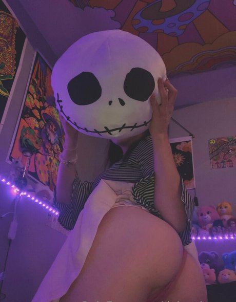 Dying bunny star perfect photos