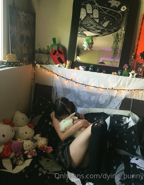 Dying bunny perfect actress pic