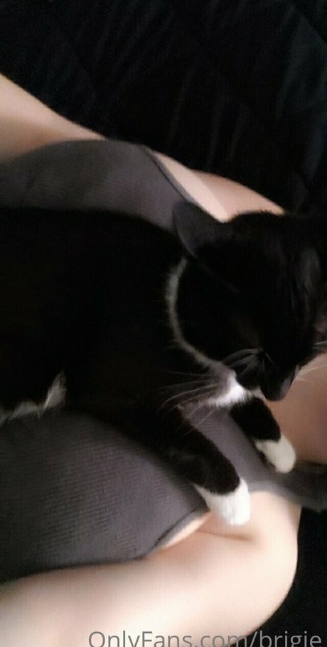 Brigitaitken porn model pictures