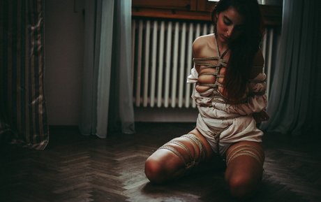 Auromineo star exclusive image